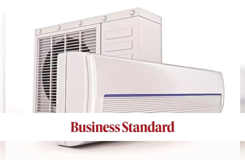 Business Standard 4